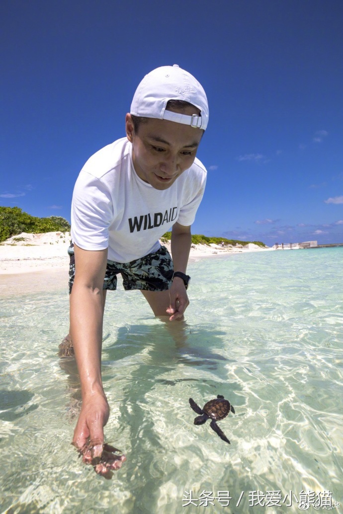 刘烨成为公益大使一本正经的发微博看他评论又不淡定了