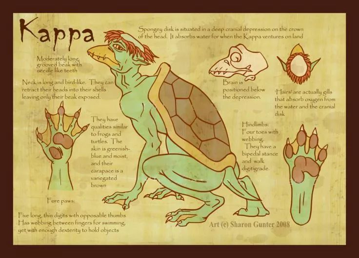 河川猛虎，切勿戏弄「百鬼·水虎」