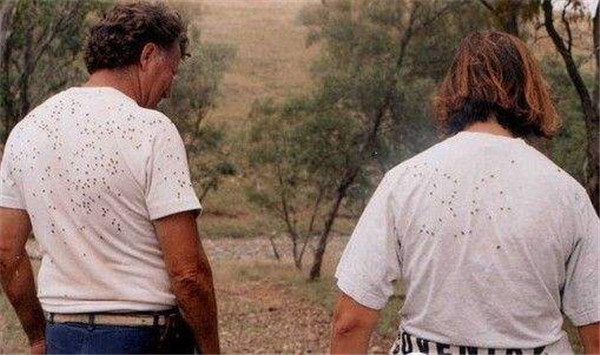 婢冲ぇ鍒╀簹鑻嶈潎鏈夊鍘夊,婢虫床鑻嶈潎鏈夊鍘夊