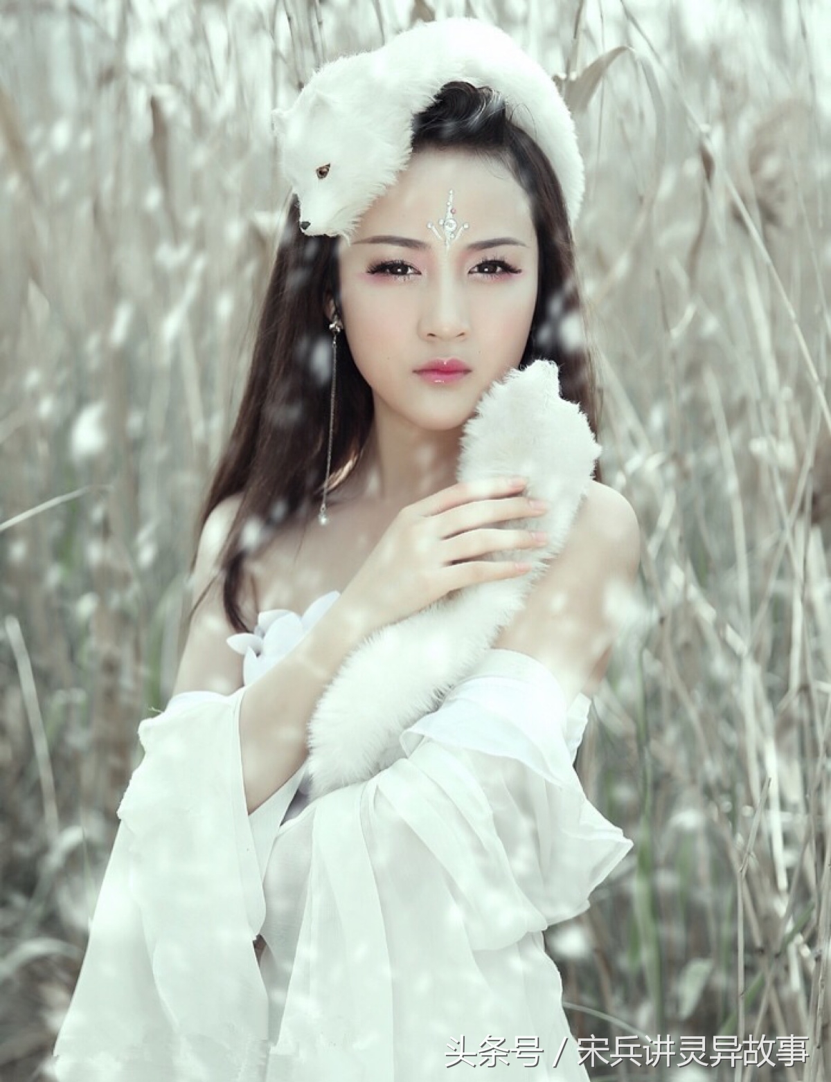 狐狸渡劫的民间故事,狐狸来报恩以身相许却遭到废后