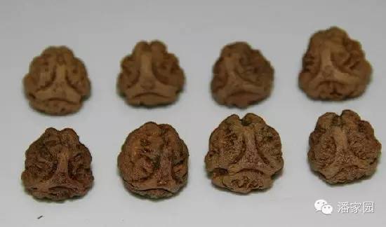 龙眼麒麟眼凤眼怎么分,凤眼龙眼麒麟眼的区别图