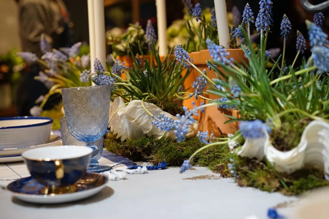 第十六期“眼界论坛”精彩亮相！｜爱花之人，必是情愫满满