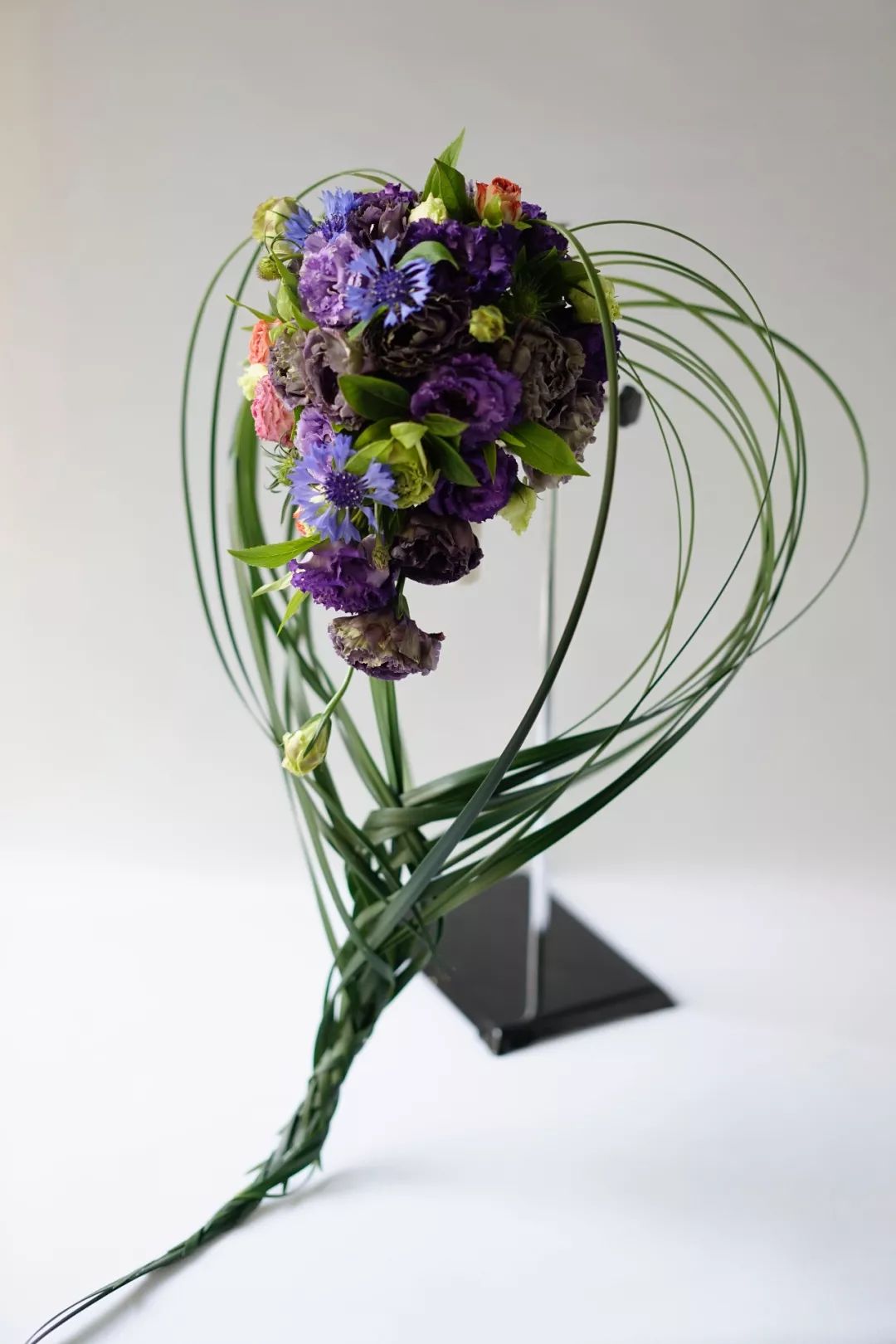 第十六期“眼界论坛”精彩亮相！｜爱花之人，必是情愫满满