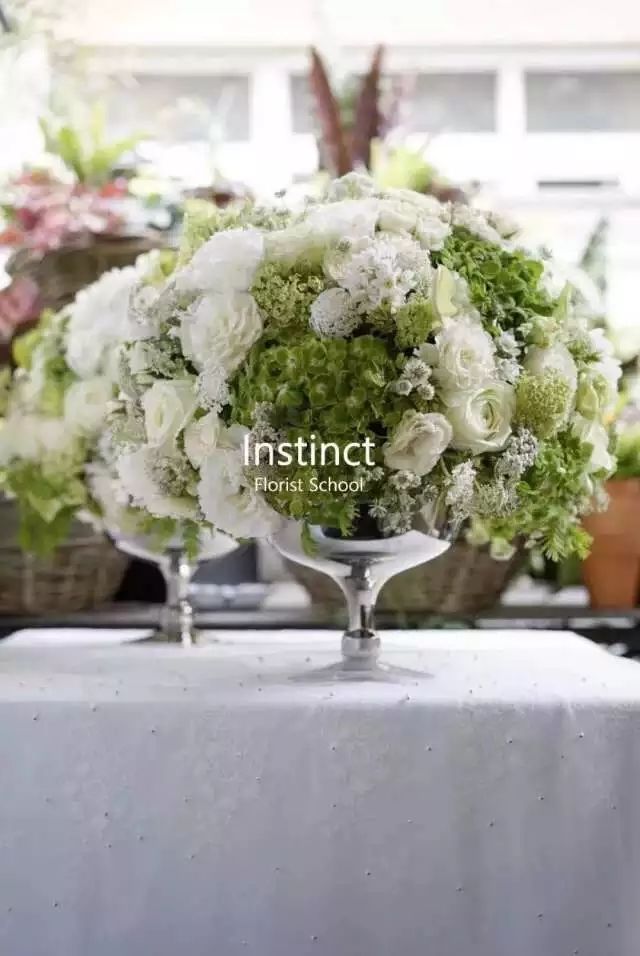 第十六期“眼界论坛”精彩亮相！｜爱花之人，必是情愫满满