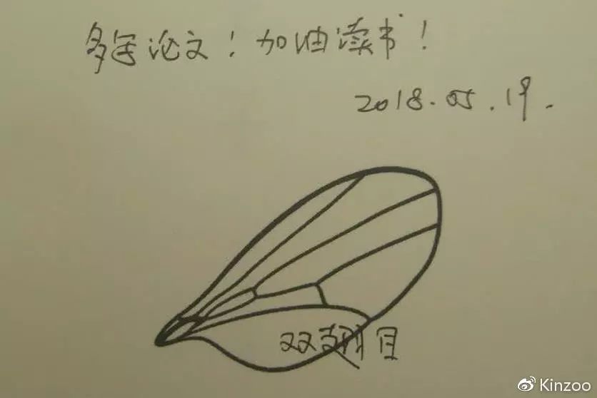 没有时间旅行叫什么科幻大会？｜APSFcon游记