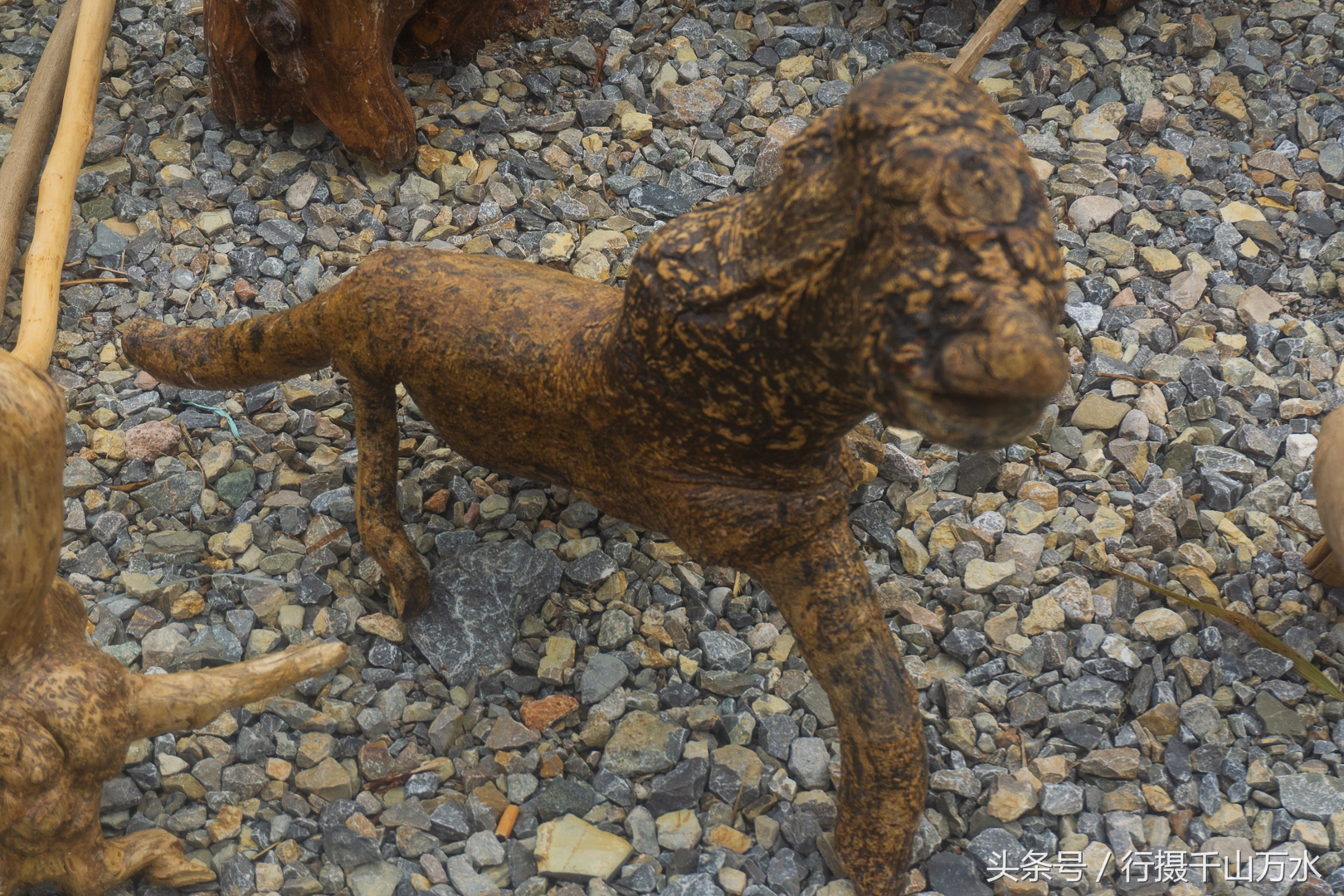 农村常见的树根摆件,农村树根制作工艺品