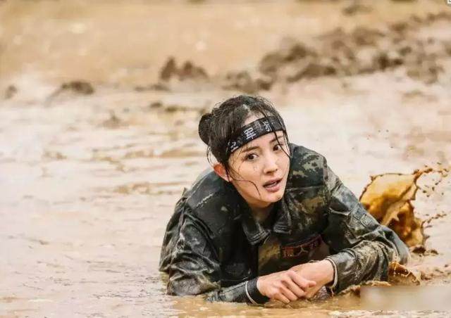 angelababy和杨紫的新综艺,angelababy和杨紫的综艺节目