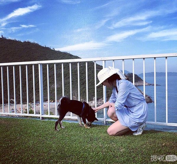 最豪华足球场草坪,足球场豪宅