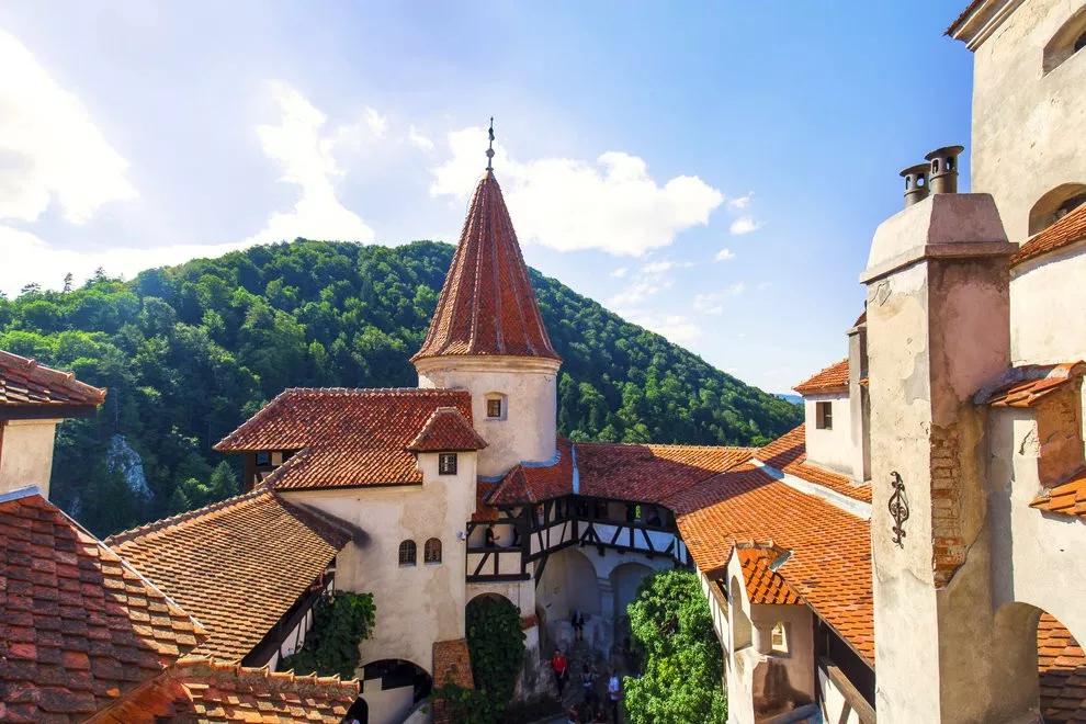 一杯咖啡50块钱,一杯咖啡5元