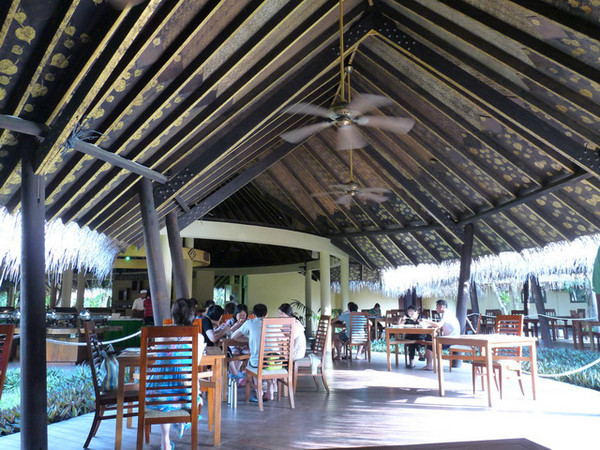 马尔代夫月桂岛攻略,7月份去马尔代夫