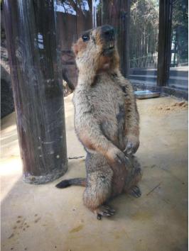 武汉春天周末带孩子玩攻略,这个季节武汉哪里适合带孩子去玩