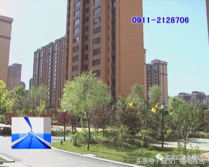 新沙发味道呛人,新沙发味道重闻着恶心