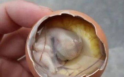 福建有哪些看似黑暗料理，实则好吃到抖腿的食物