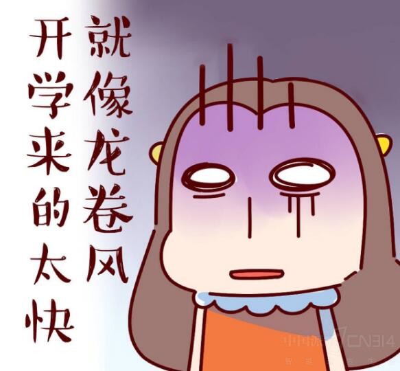 阿里宝卡如何全部免流量,教你怎样免费用流量卡