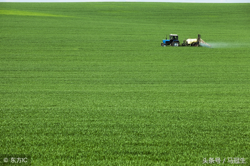杀虫气雾剂对羊致命吗,羊最害怕的杀虫药是什么