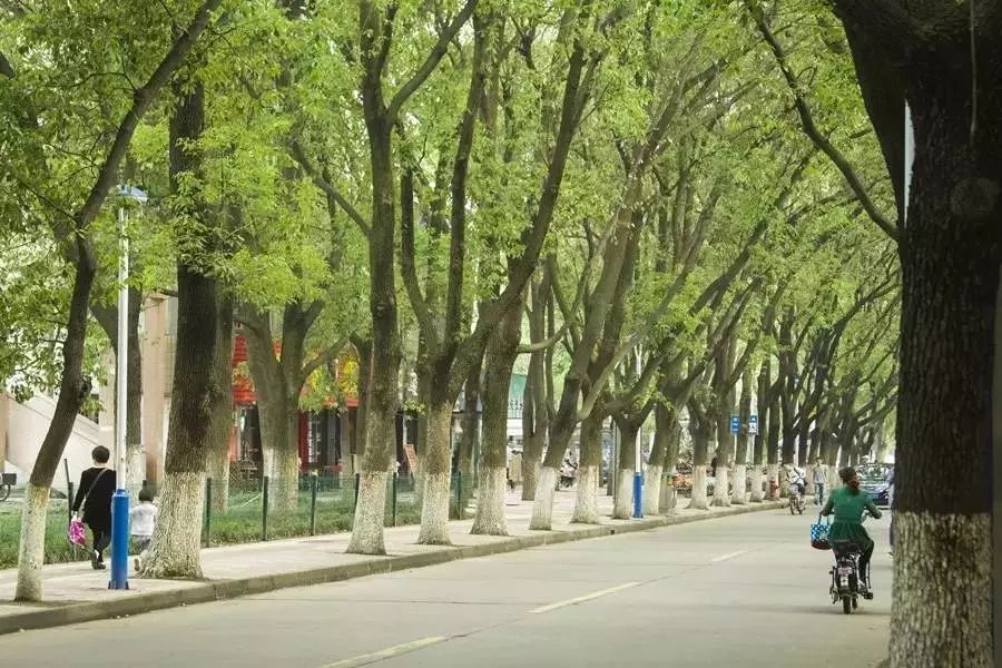 张家港有哪些美食街,张家港最热闹的小吃街