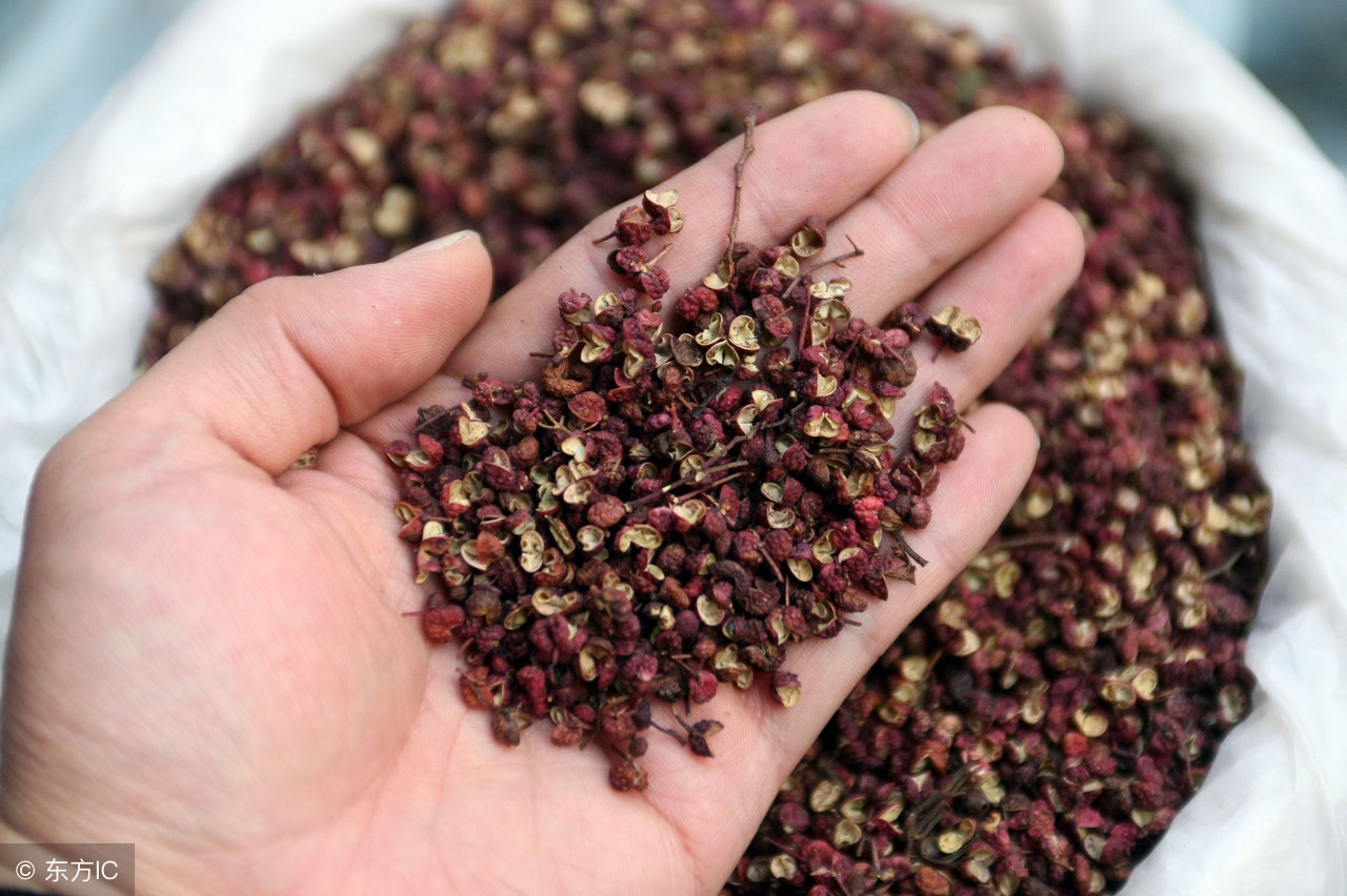 牙痛的原因有哪些怎样快速止痛,牙痛痛得要命了怎样才能止痛