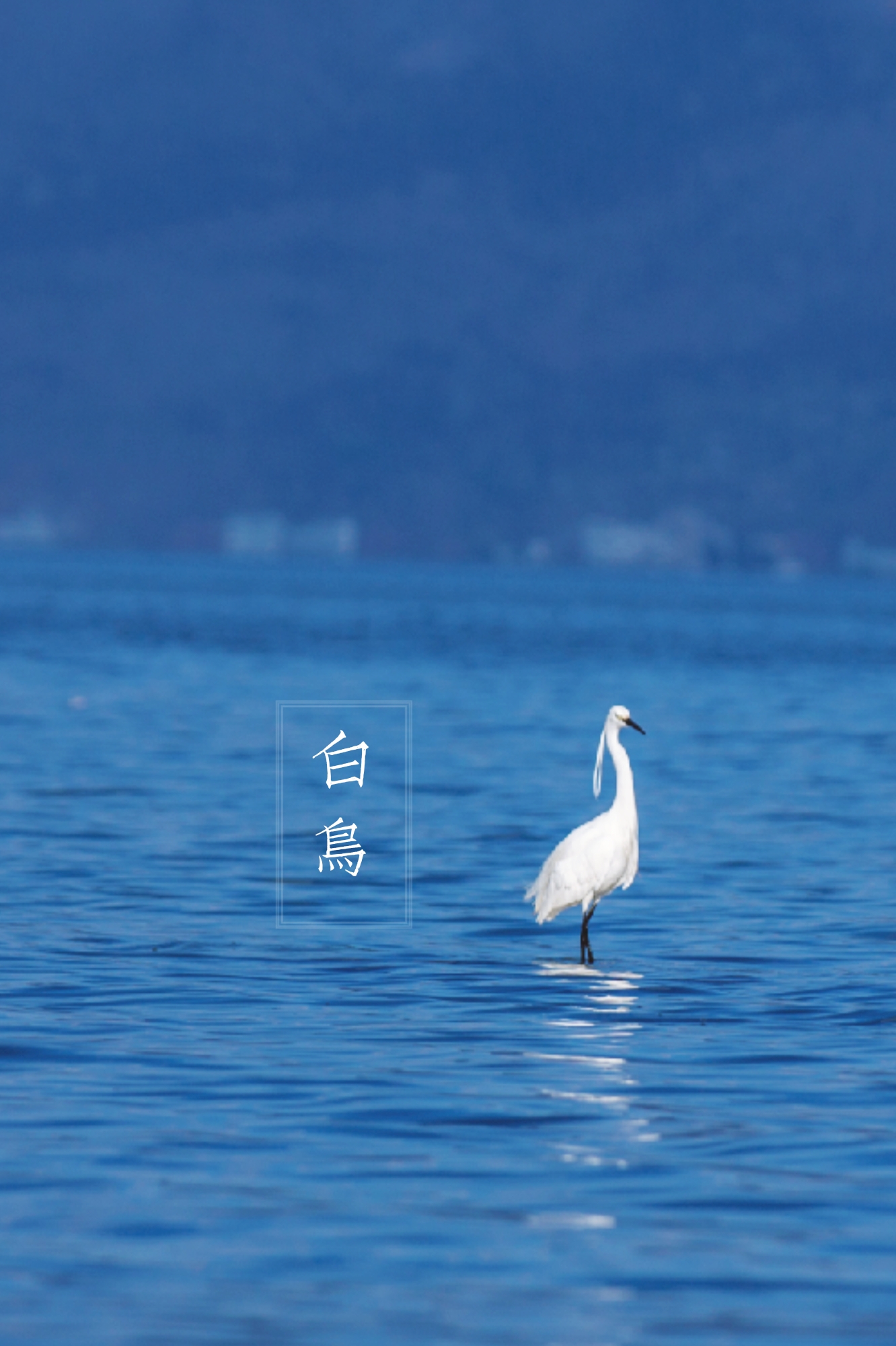 大理每个季节都很美,在大理每天都是那么的美好