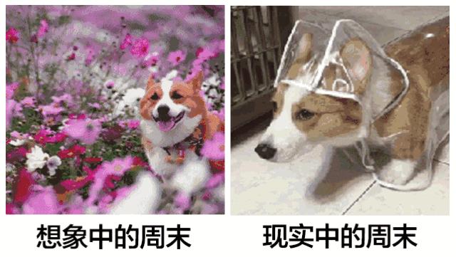 长沙飞天津航班取消,强降雨长沙继续预警