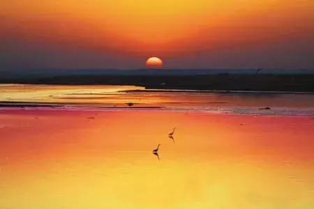 故乡情的原唱,故乡情故乡的水