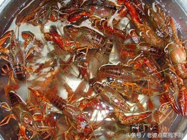 小龙虾最干净的处理方式,小龙虾处理不干净