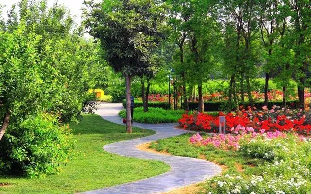 郑州有什么好玩的地方免费开放,郑州好玩的免费景点