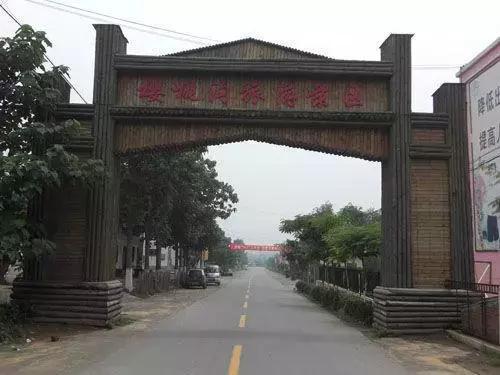 郑州有什么好玩的地方免费开放,郑州好玩的免费景点