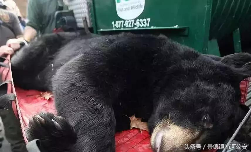 朋友圈里卖低价服装的真相,代购骗局揭秘朋友圈