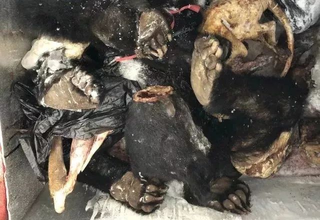 代购究竟有多暴利,做代购那些离谱事件