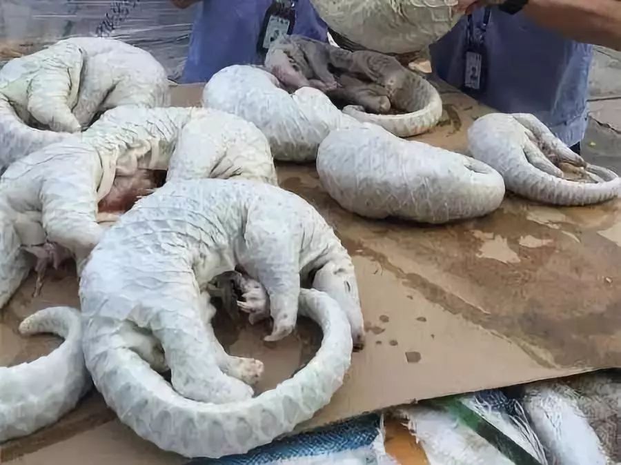 代购究竟有多暴利,做代购那些离谱事件