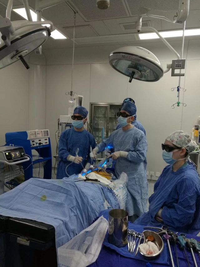 娴欐睙娉屽翱澶栫棰嗗啗浜虹墿,鎷嗗脊涓撳鍐掗櫓鎷嗗脊