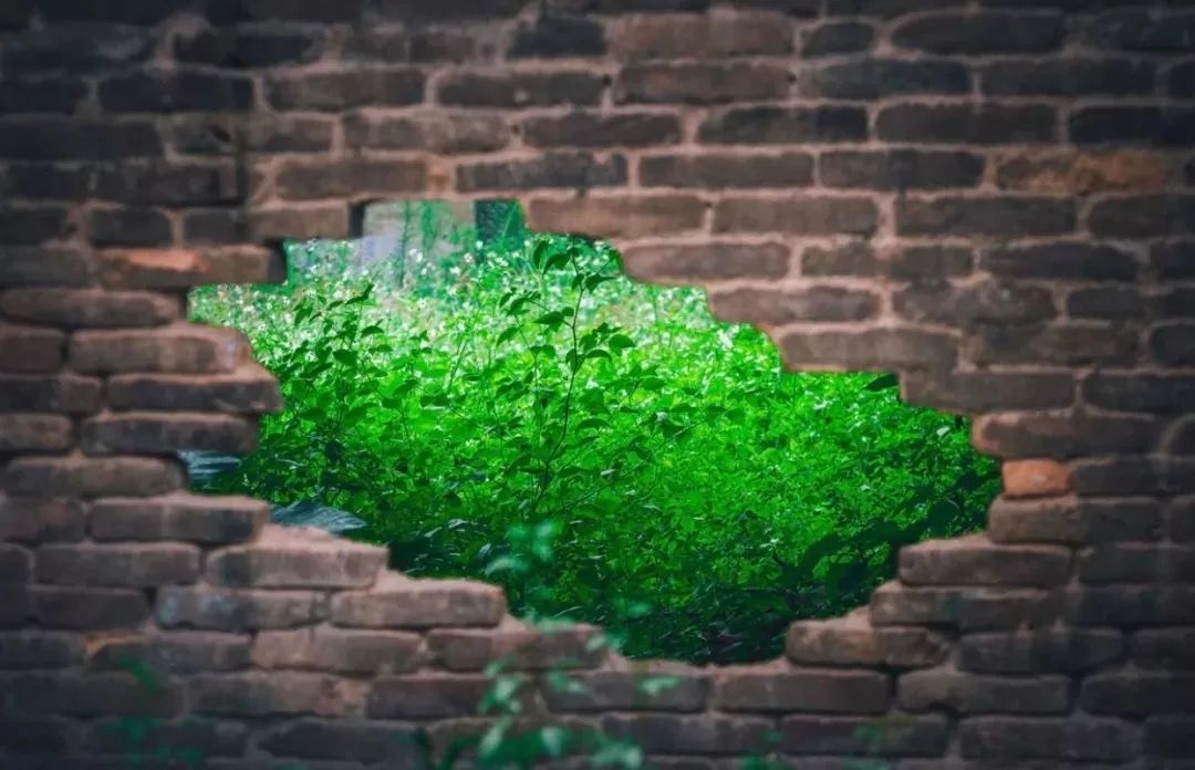 那些年背过的文言文,那些年倒背如流的25篇经典古文