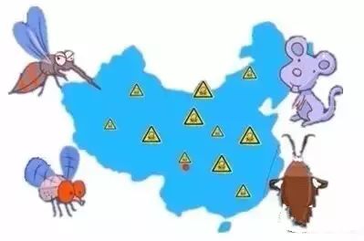 四害消杀温馨提醒,除四害科普小知识