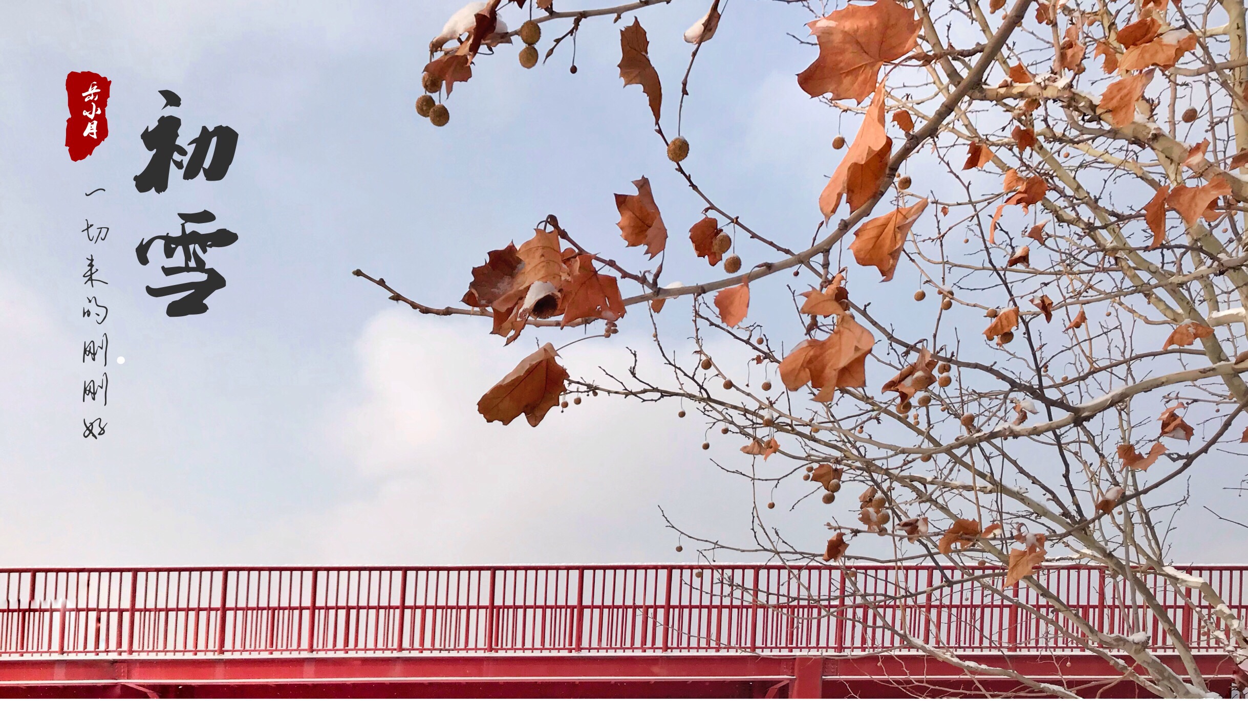 图片文字标注制作,给图片加标注线