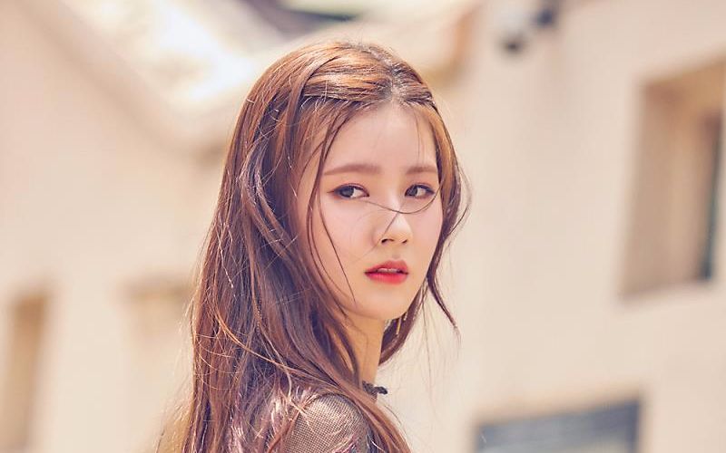 cube公司现状,cube公司五大扛把子女团