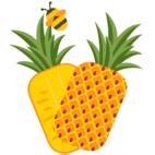 菠萝种草日常,菠萝日常种草学生党