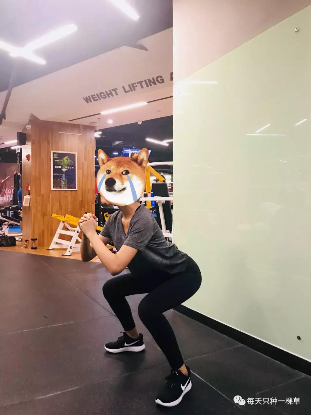 减重20斤能有多少脂肪,一个月减重20斤计划表