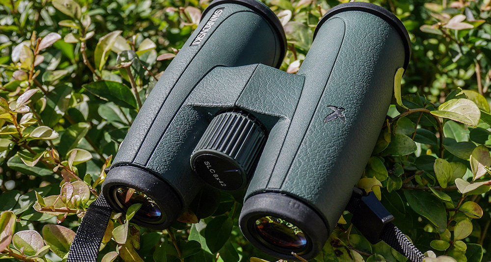 哪个国家的施华洛世奇便宜,你买东西买贵了吗