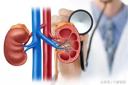 尿液起泡是不是火气大,肾起泡是什么原因引起的