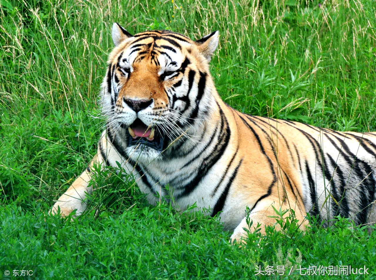 最可怕的代购骗局,朋友圈代购什么行为