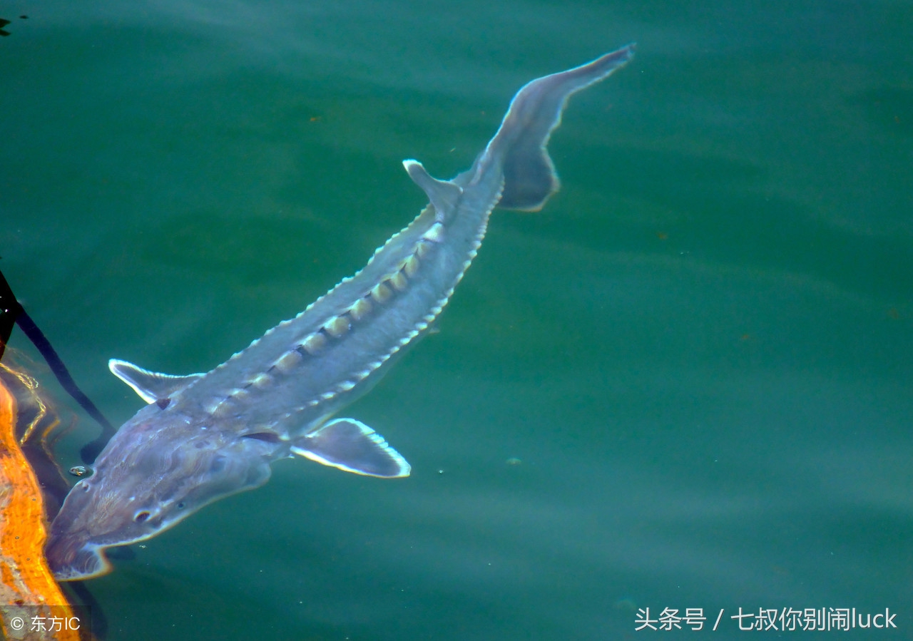 朋友圈低价卖完什么套路,朋友圈里卖低价服装的真相