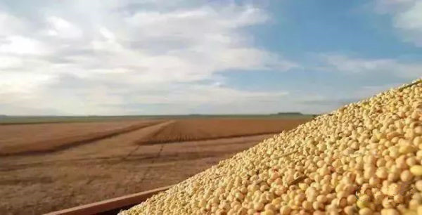 中国4亿买下俄罗斯“粮食码头”