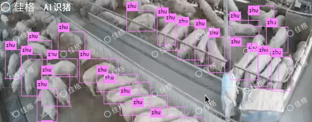 人工智能与农林大数据,人工智能大数据科技