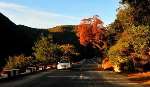 巩义夏天有什么可去地方没,巩义夏季好去处