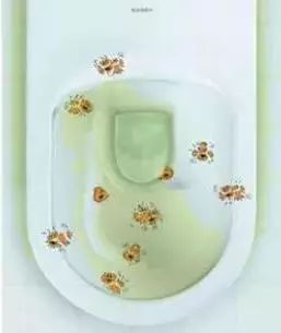 马桶清洁除味消毒去菌,马桶除菌和杀菌