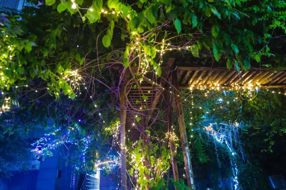 南艺你不知道的事,南艺的真实生活