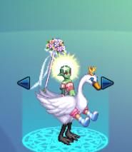 dnf坐骑套刷图展示,dnf坐骑套各职业外观