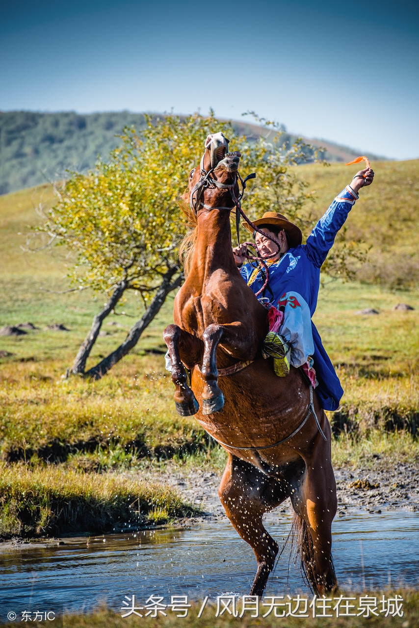 蒙古马和套马图片,蒙古套马绳子教学