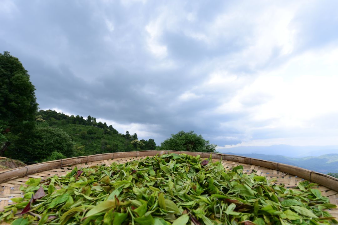 他卖掉所有家当回国创业，做洗护用品，竟引来网红民宿排队打call