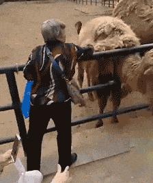 一元住五星级酒店,一元住五星酒店